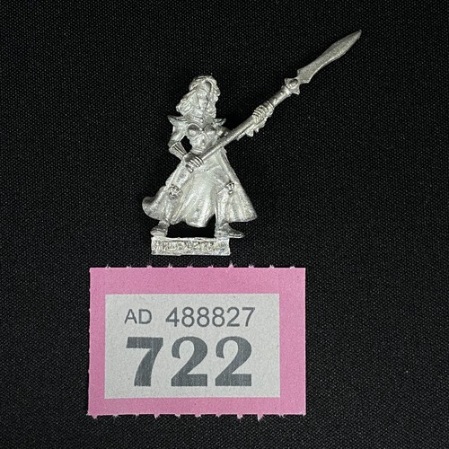 Maiden guard trooper haut elfe - trooper,