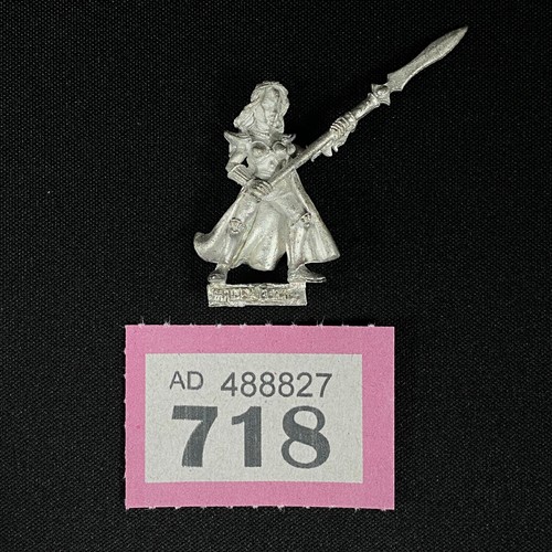 Maiden guard trooper haut - guard, elfe